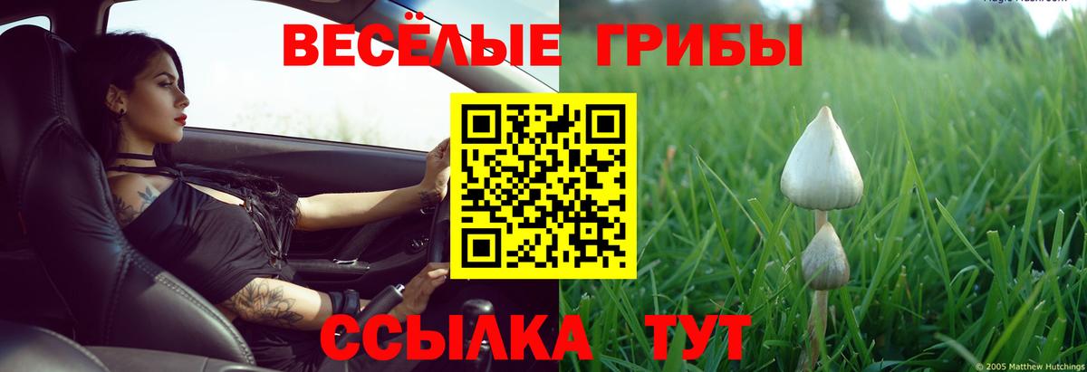 Киров  Галлюциногенные грибы мицелий  Вход с VPN 